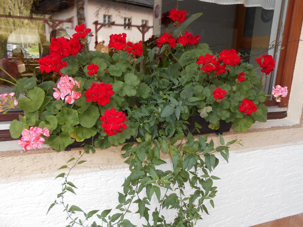Gasthaus Traube Bichlbach Esterno foto